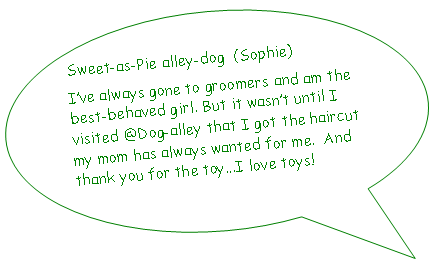 Oval Callout: Sweet-as-Pie alley-dog  (Sophie)I’ve always gone to groomers and am the best-behaved girl. But it wasn’t until I  visited @Dog-alley that I got the haircut my mom has always wanted for me.  And thank you for the toy...I love toys!